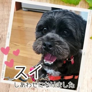 「しあわせになりました」スイくん