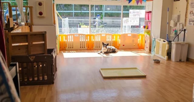 陽の差し込む保護施設の部屋