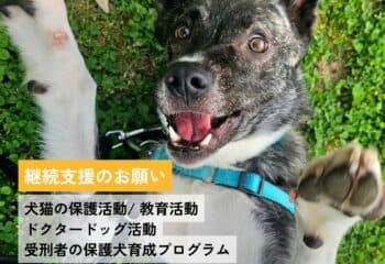 常設寄付を開設しました