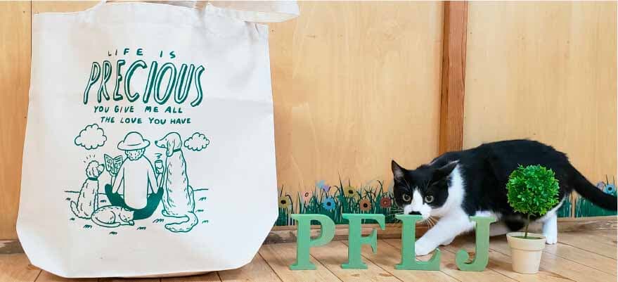 オリジナルトートバッグと猫